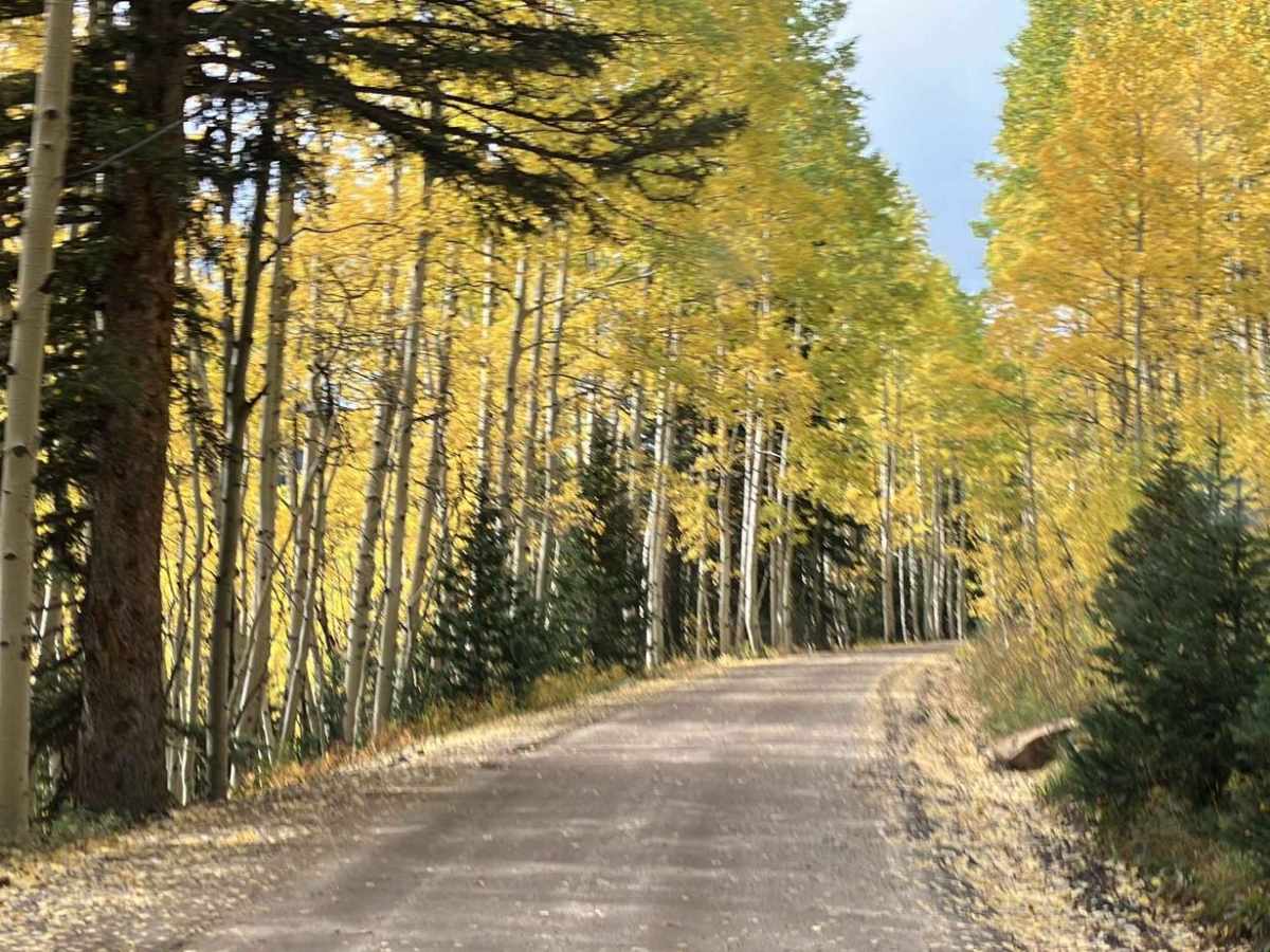 Fish Creek Approach photo 3