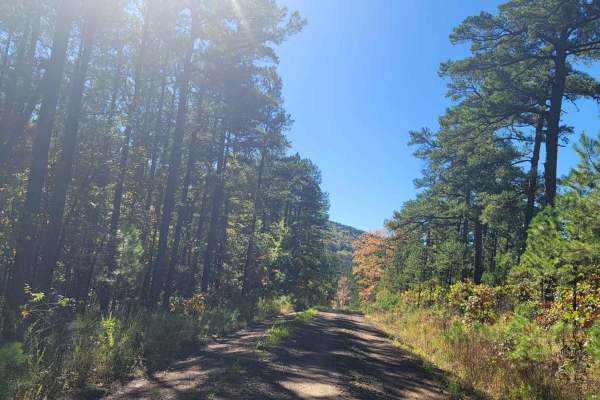 Walker Mountain