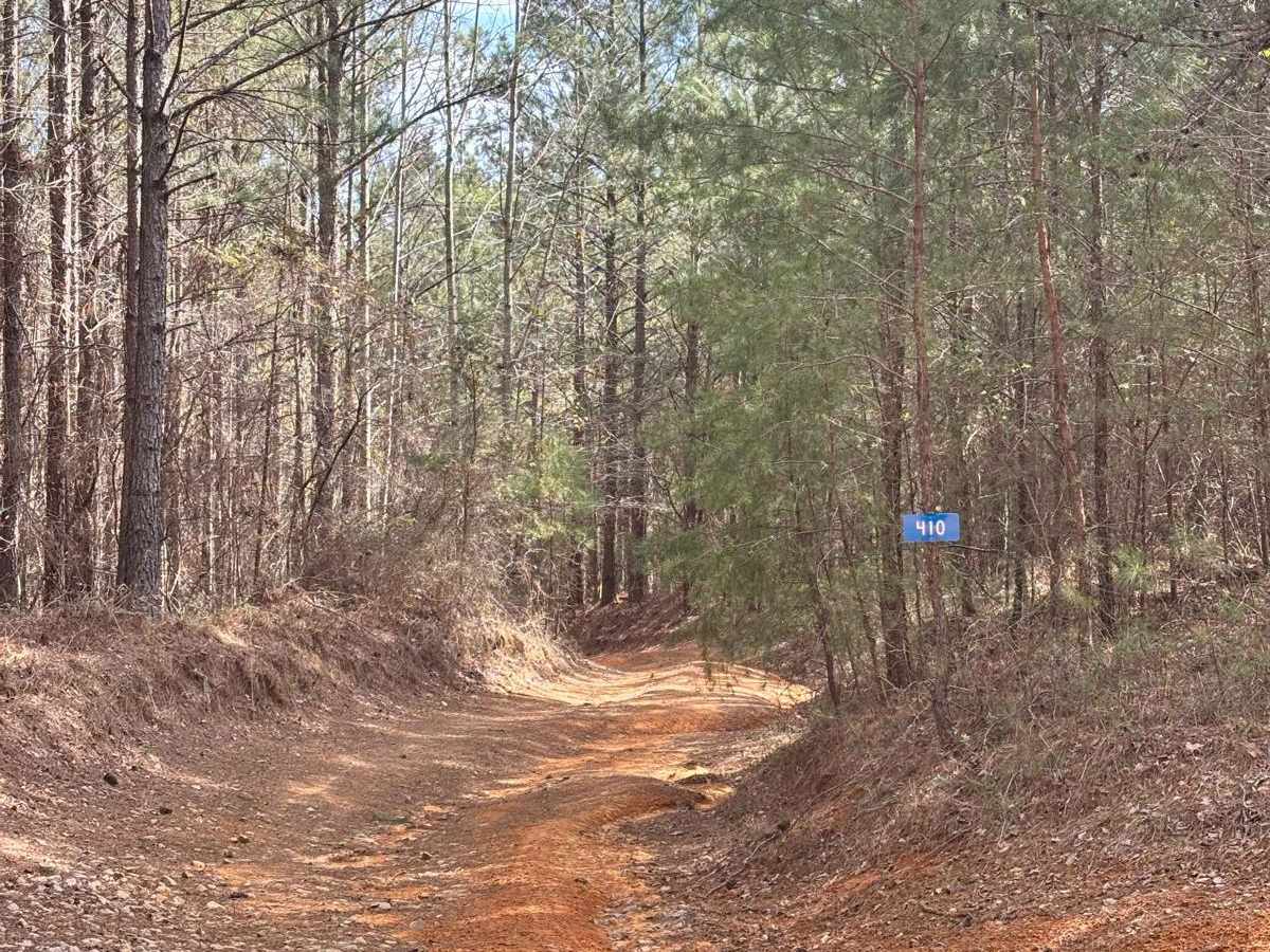 410 trail photo