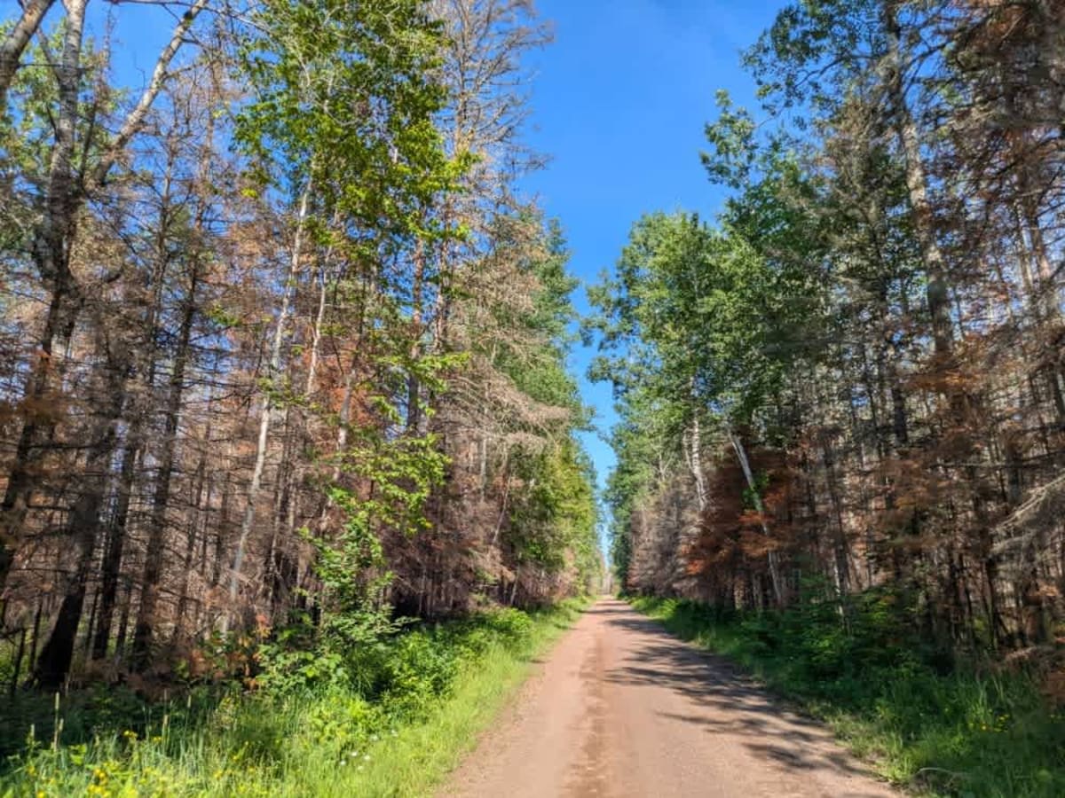 Indian Creek Road photo 4