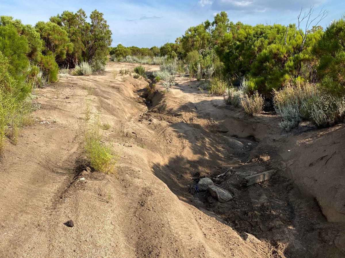 Cut-Off to Original Camino a La Laguna Hanson trail photo
