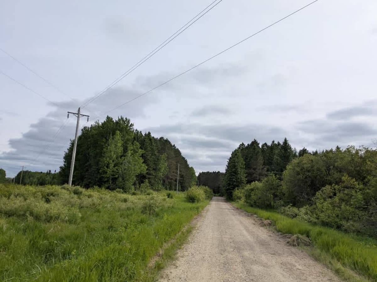 2429 photo 6