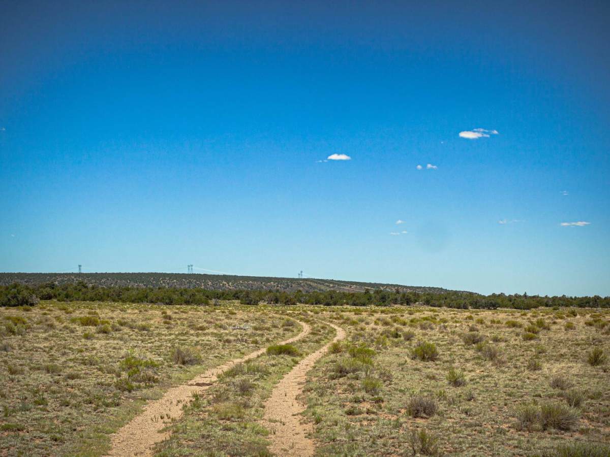 Surrounding Smoot - FR2018 photo 2