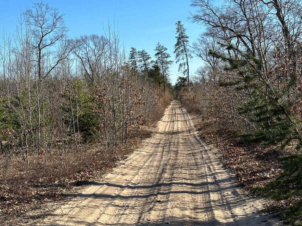 Small Road photo 3