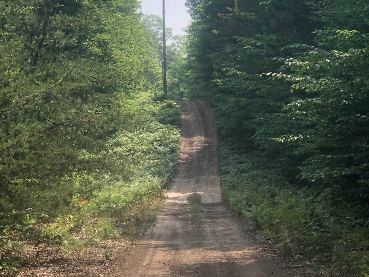 Lamb Road Loop photo 2
