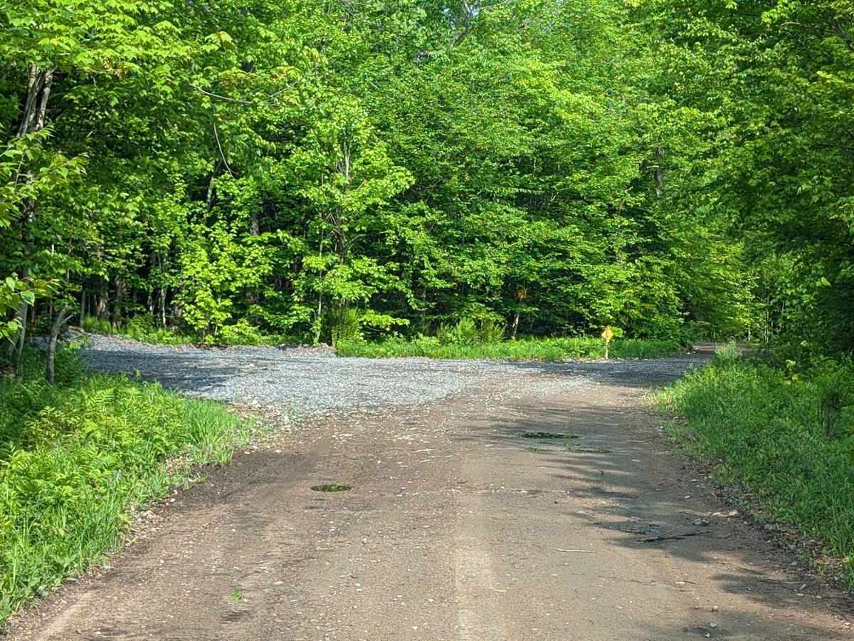 Long Pond Main Haul Road photo 2