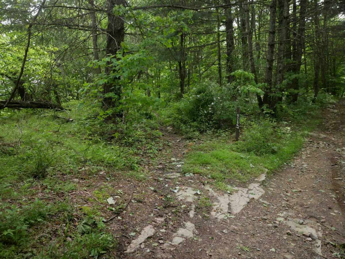 MV928 photo 3