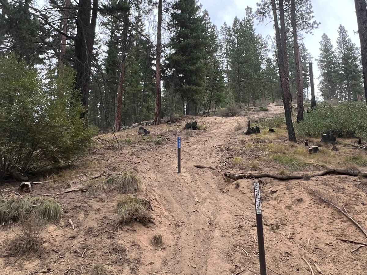 Deer and Pine Gulch photo 5