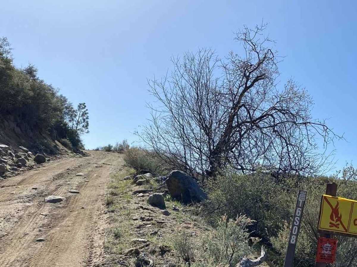 16S08 Fred Canyon Road photo 3
