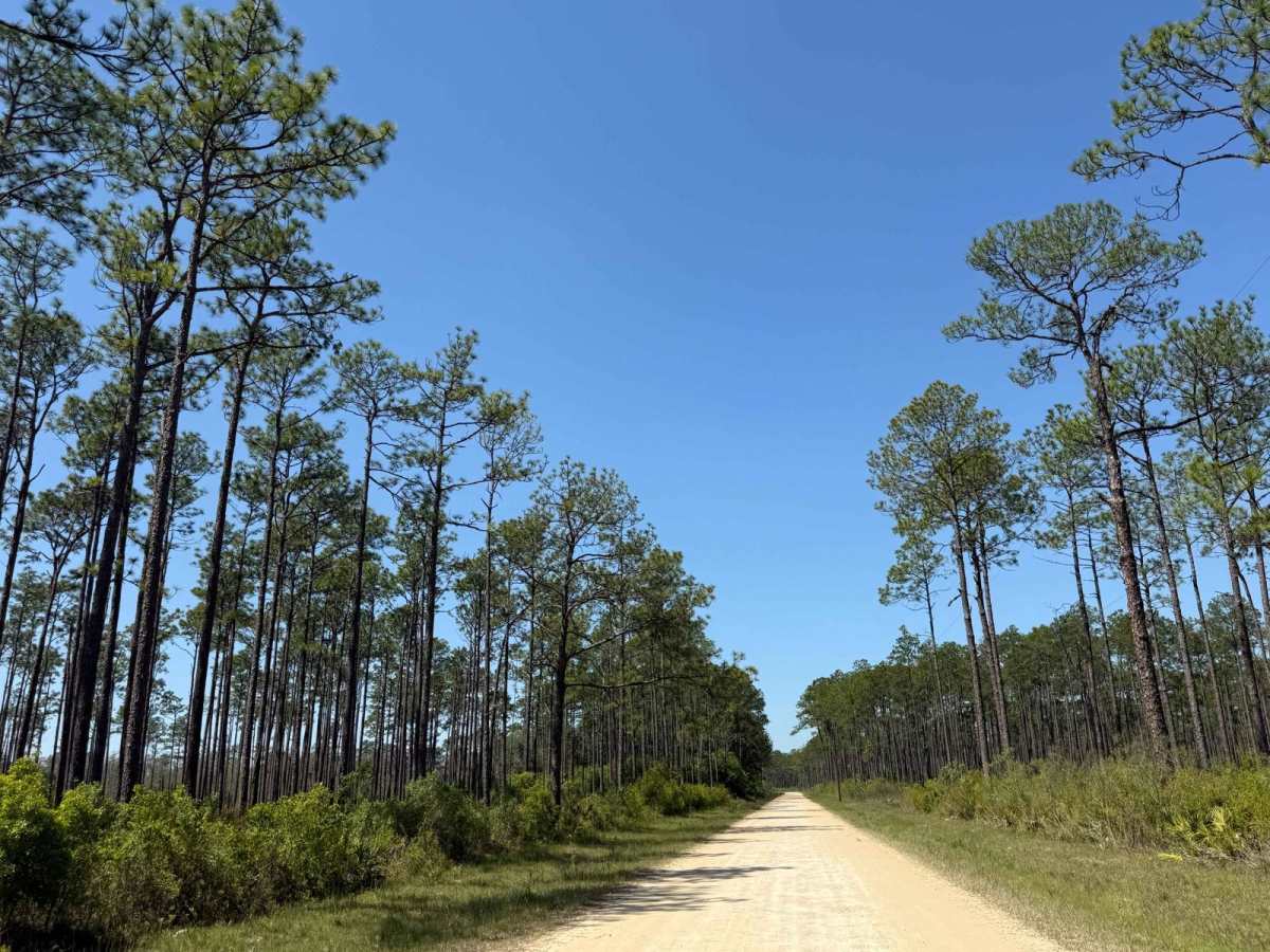 Brickyard Landing - 129 photo 6