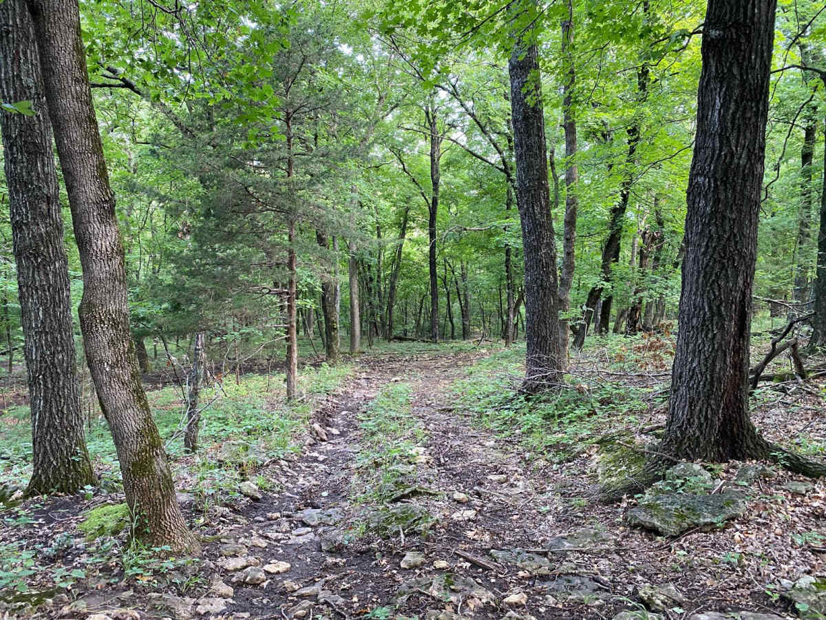 Crap Shoot trail photo