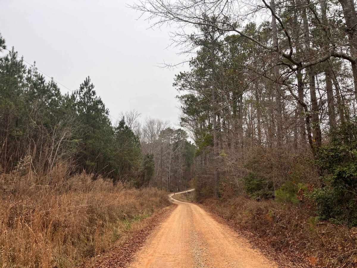 Richland Creek Road photo 3