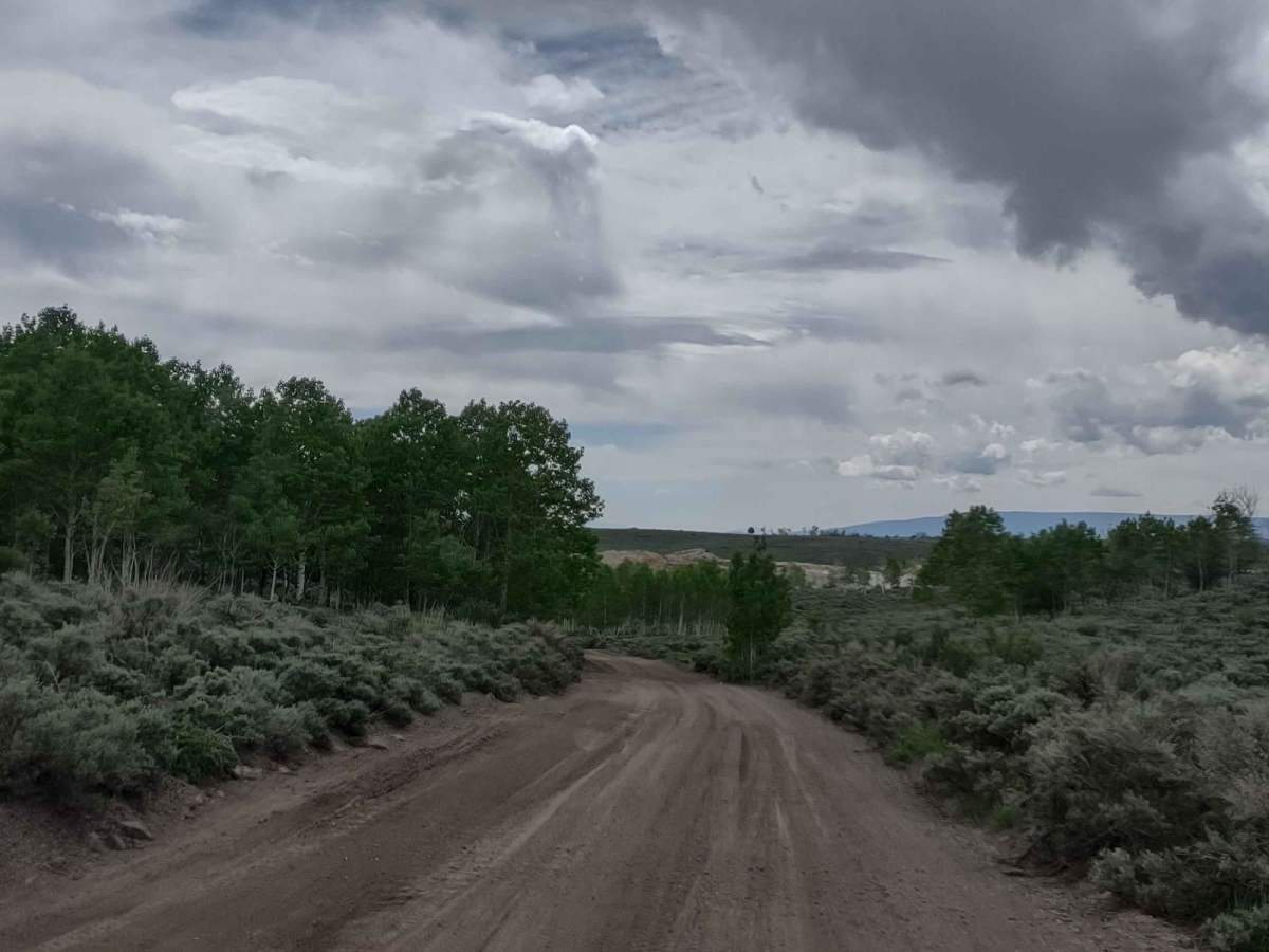 Box Creek Road (FS# 40069) photo 4