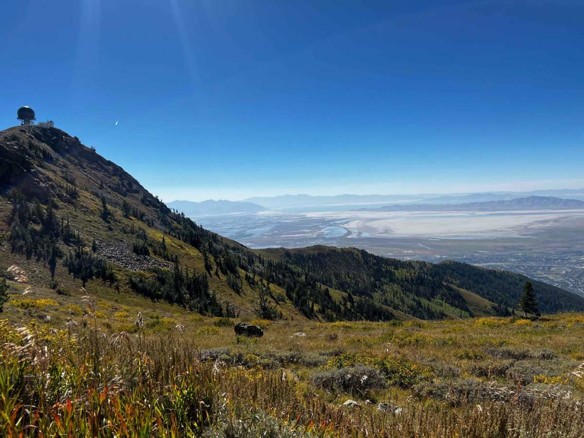 Holmes Creek Road (FR 260) photo 3