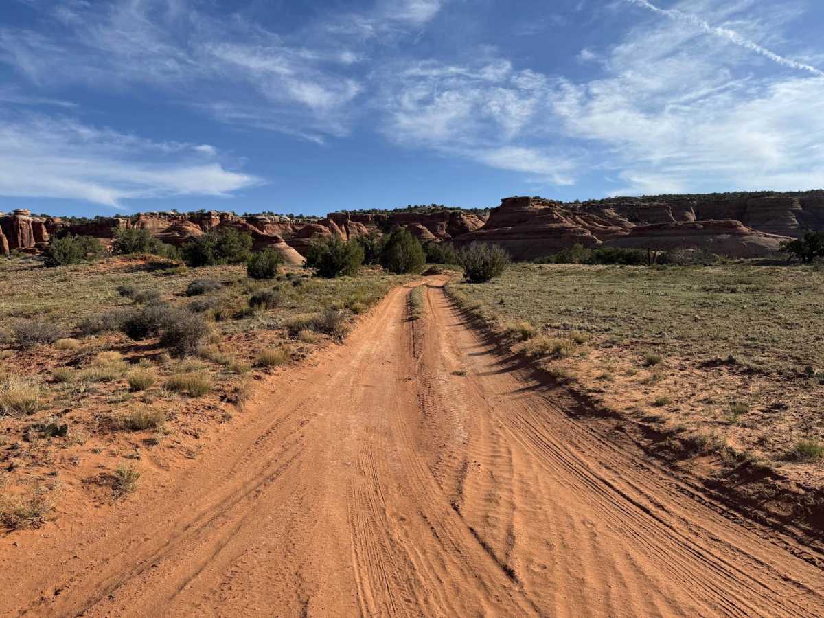 D1782 trail photo