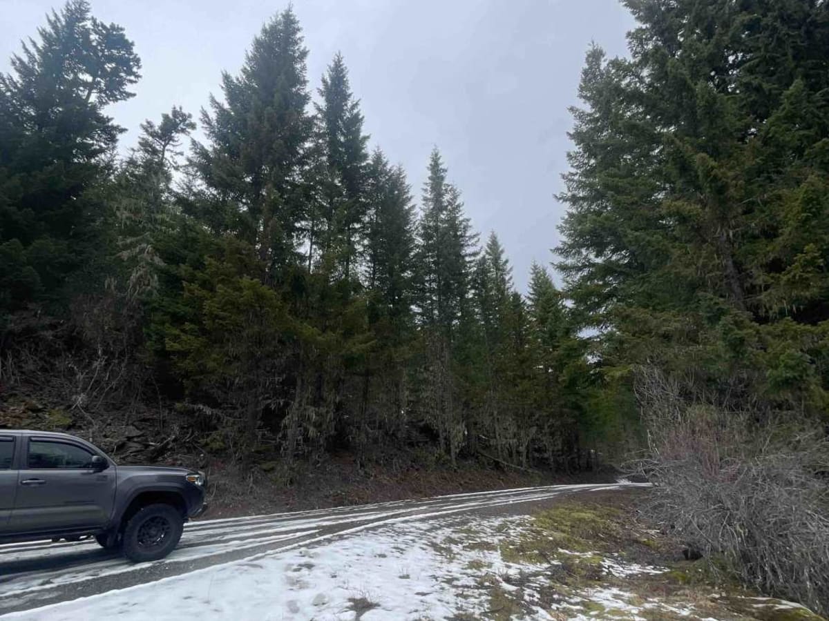 National Forest Development Road 4660 photo 5