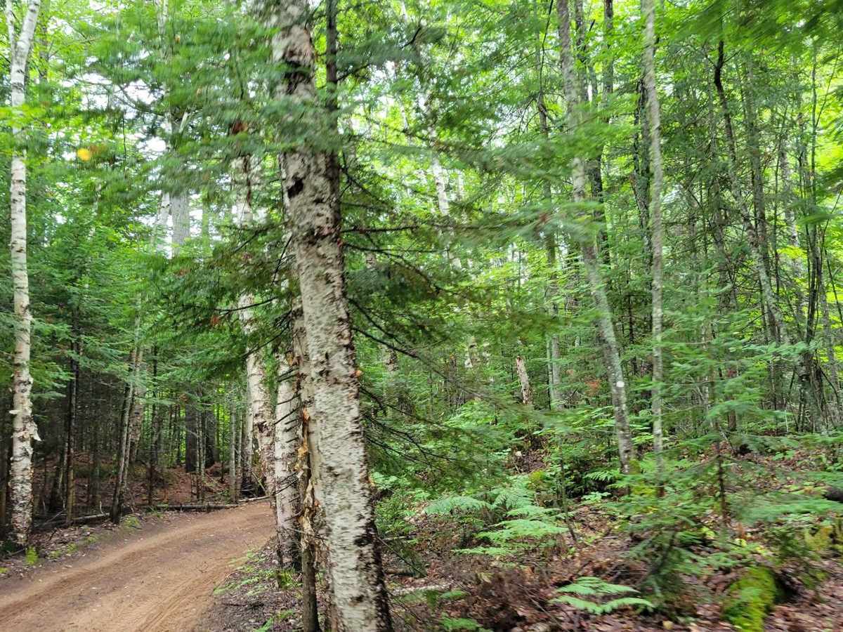 Mohawk Gay Cut Across Off Road Trail Maps Difficulty Trail Status mohawk-gay-cut-across-off-road-trail-maps-difficulty-trail-status