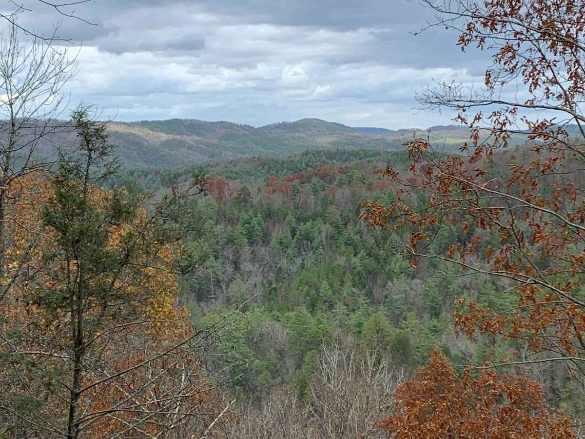 Old Furnace Road FSR 76 photo 3