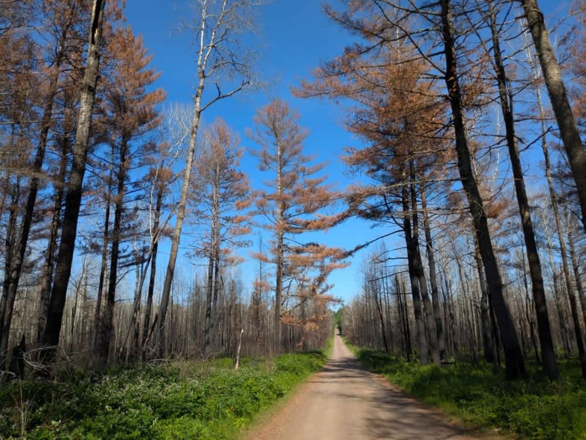Indian Creek Road photo 5