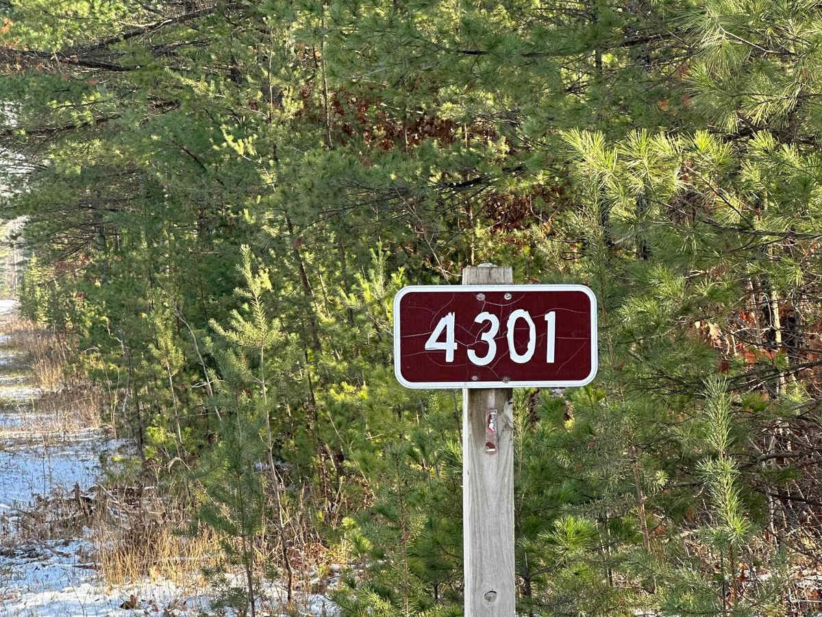FS 4301 A trail photo