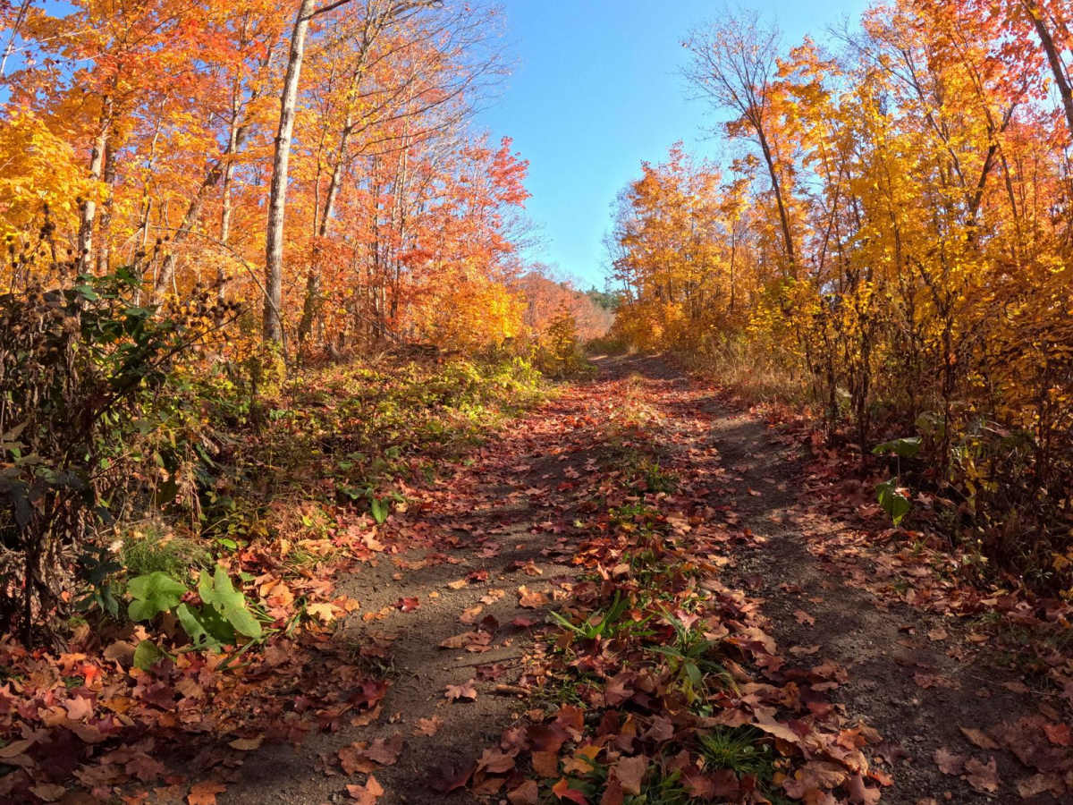 North Carp Lake Road (Tribag mine Alternate) photo 4