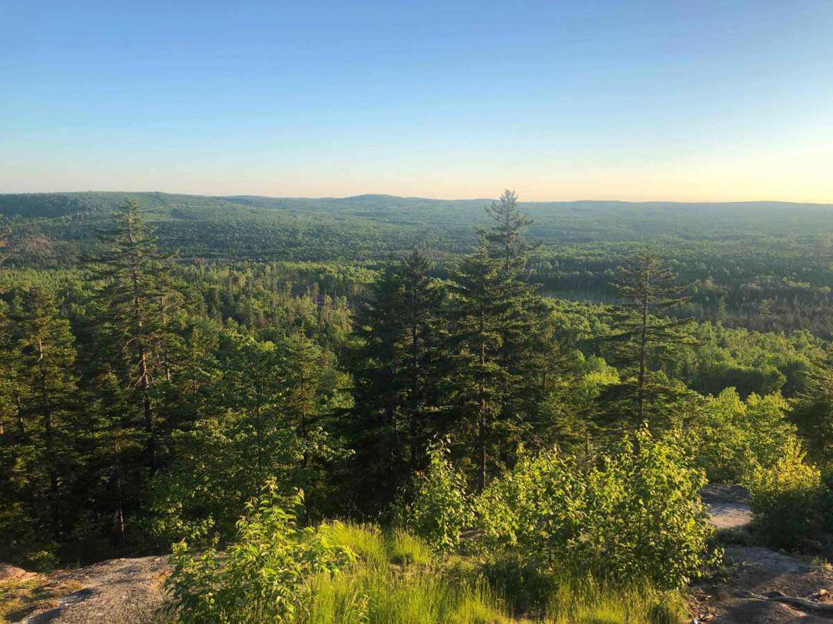Greenhill Lookout - Hard Line trail photo