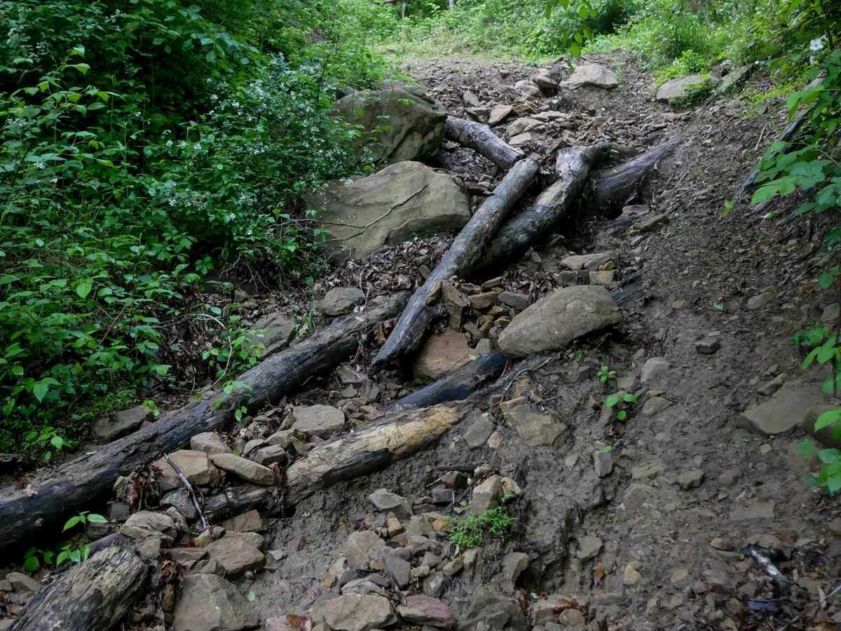 B94 trail photo