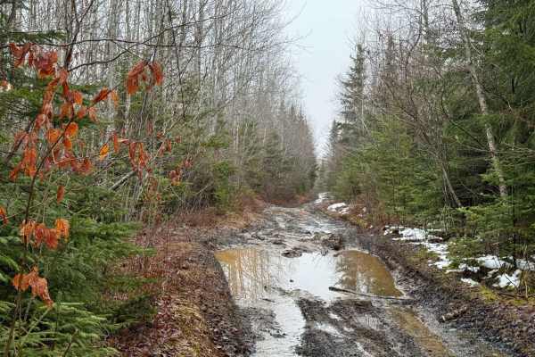 Kavanough Road