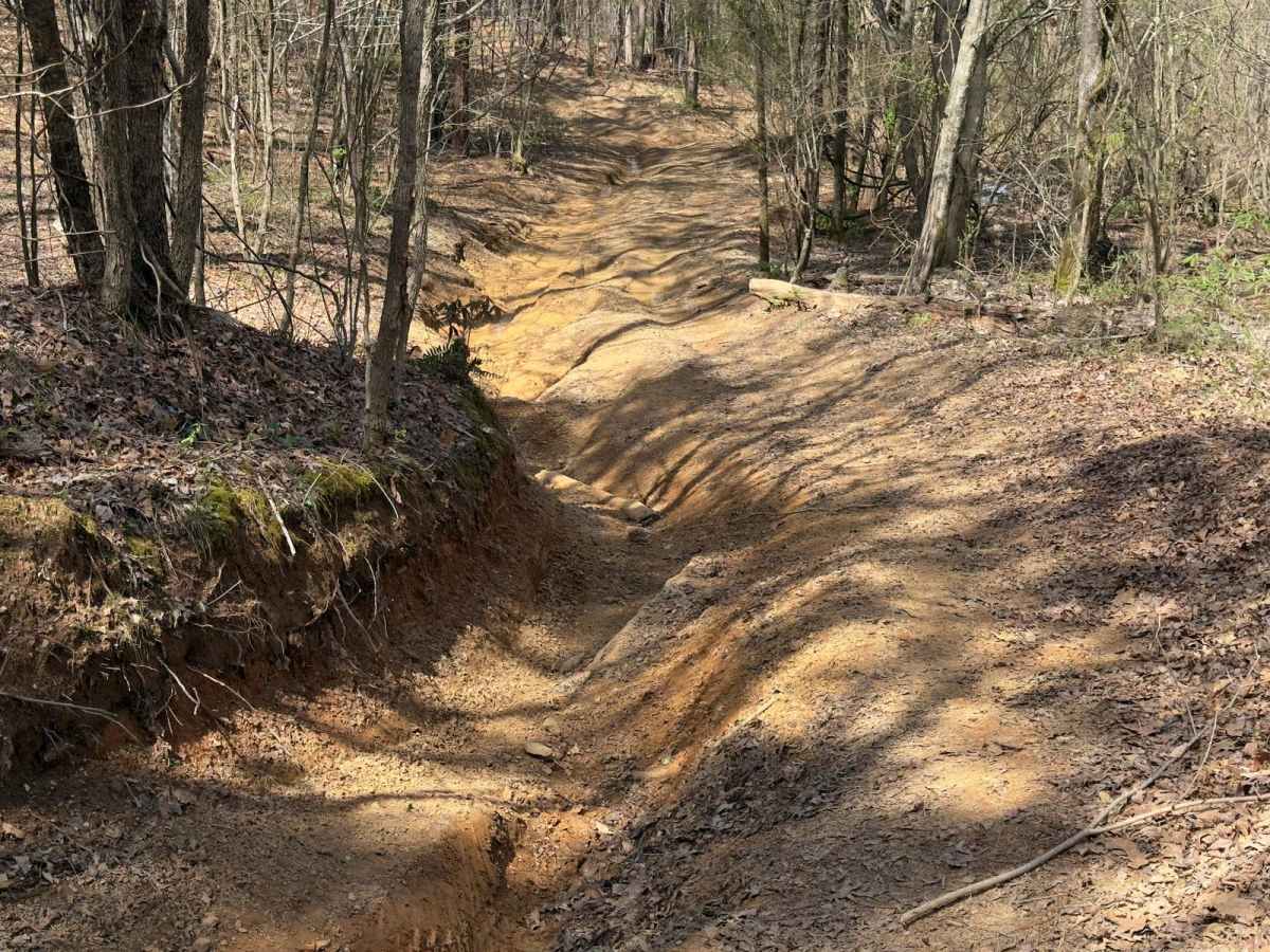 306 Hard trail photo