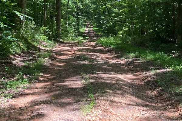 Bear Creek Road