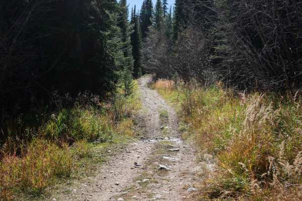 Elk Creek ATV Loop