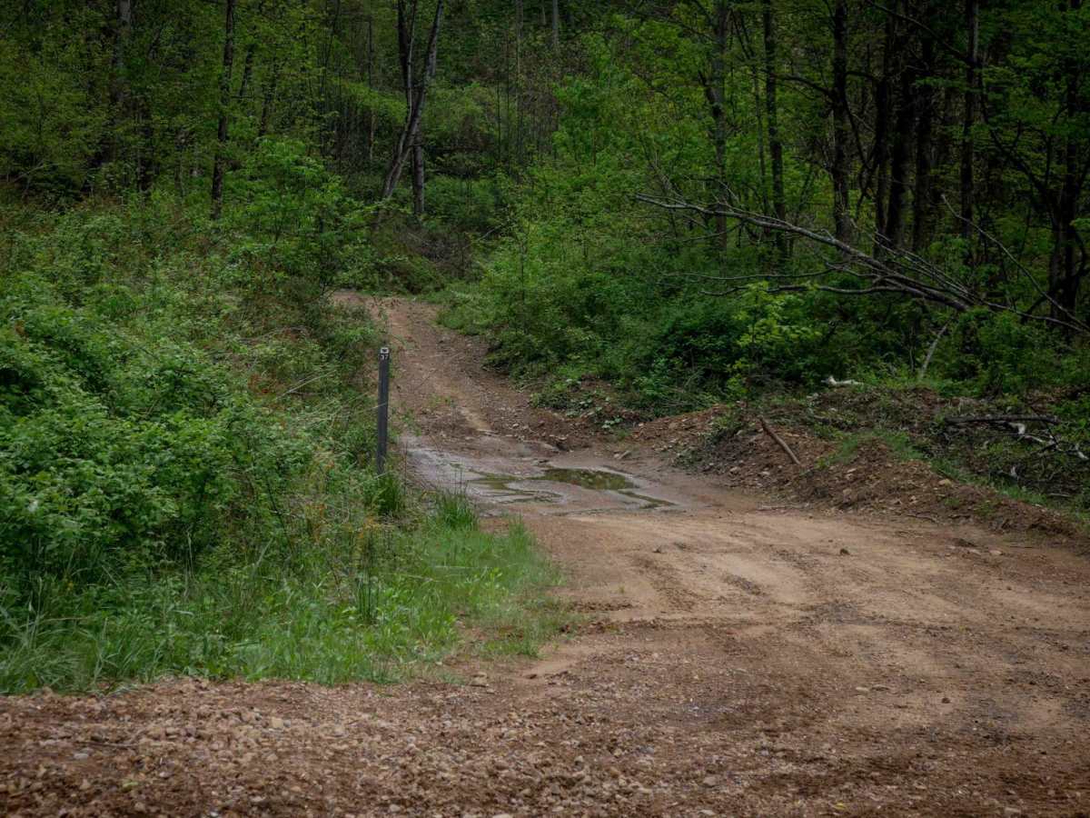 IR 37 trail photo