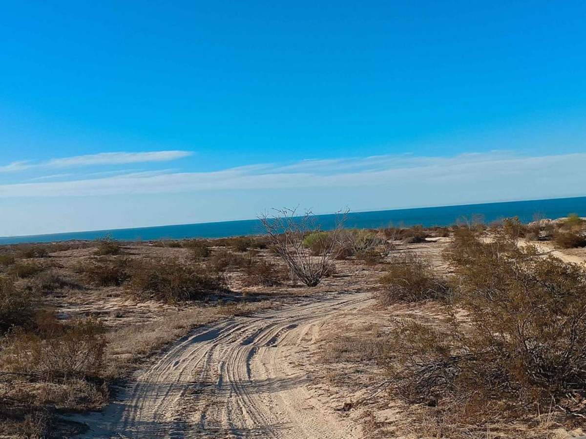 Coastal Whoop Run photo 6