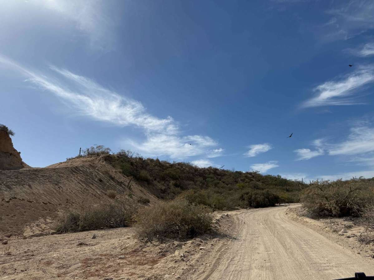 PBR Motorized Track trail photo