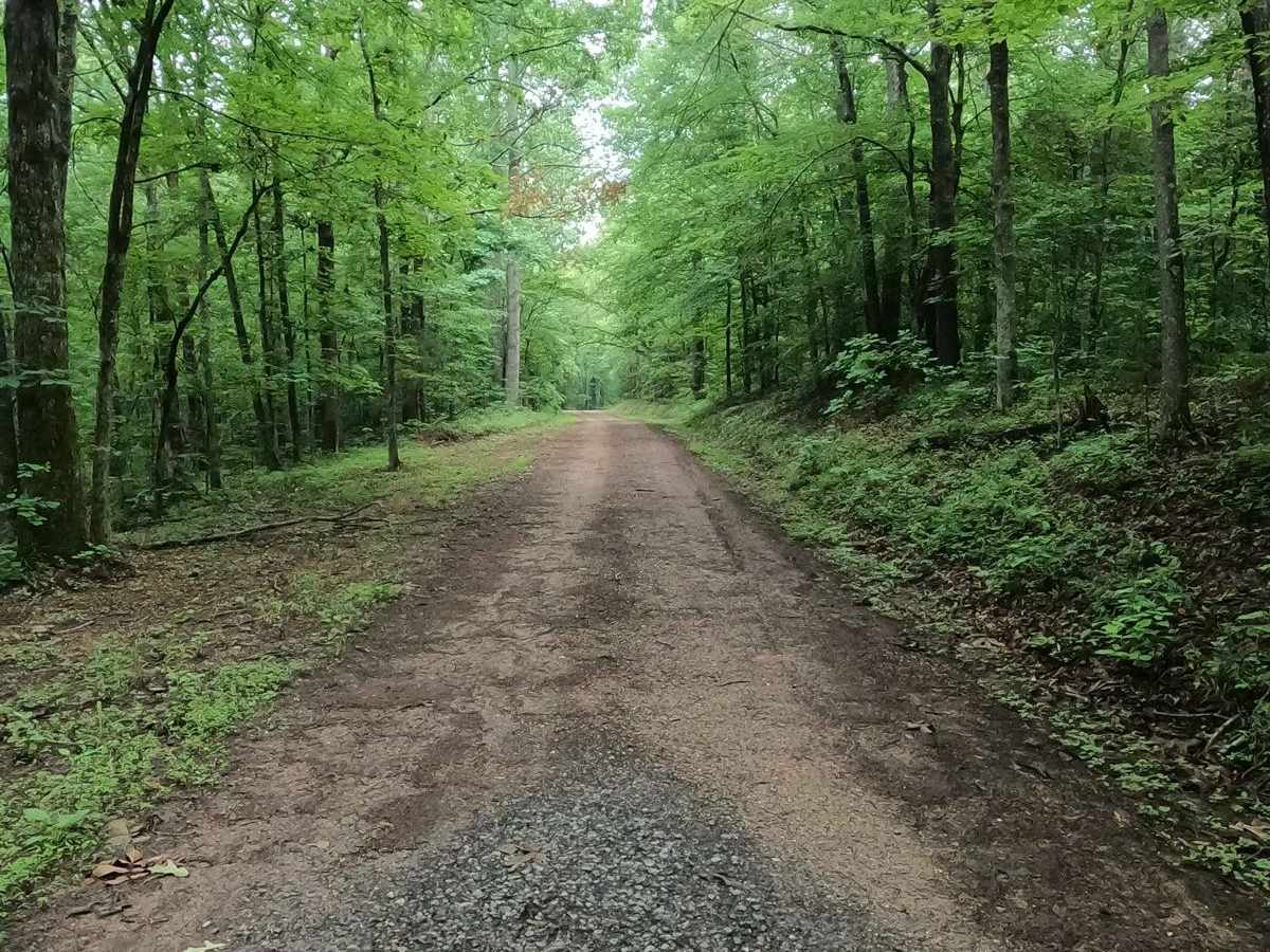 Gatlin Point North FSR 228 photo 4
