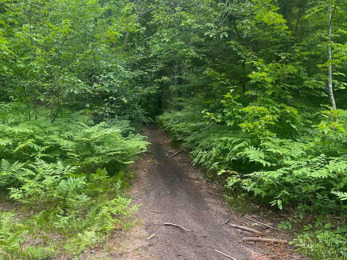 Silver Creek trail photo