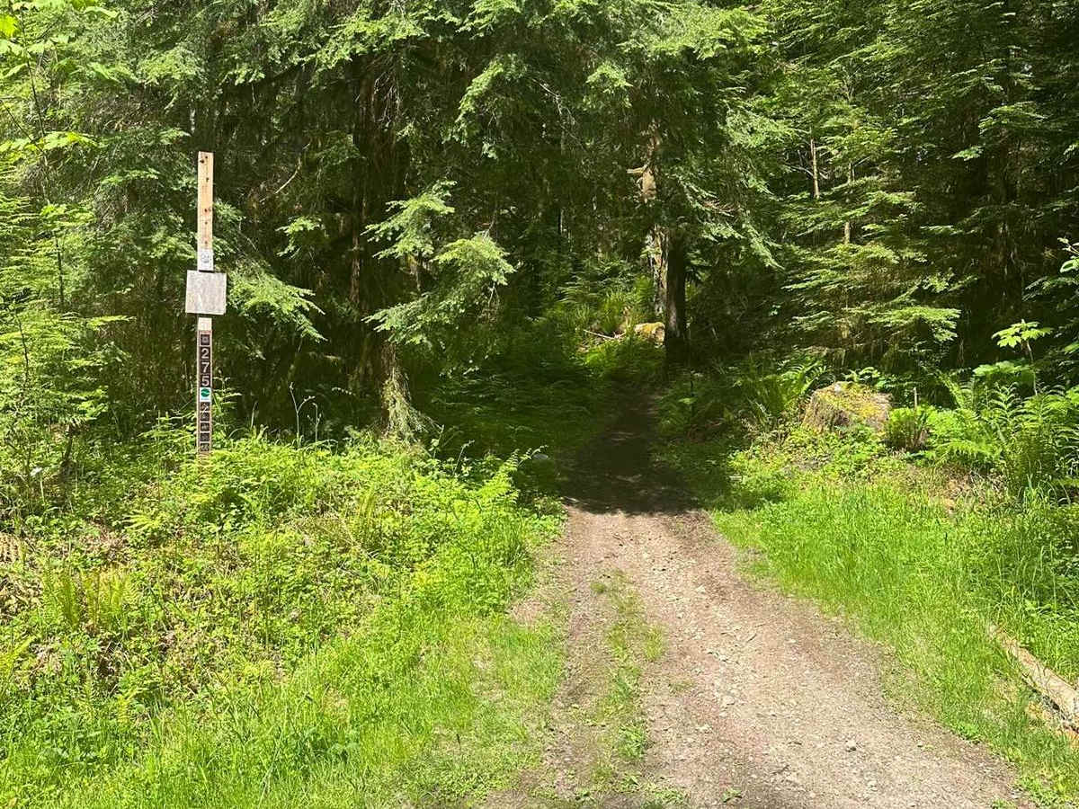 Kraus Ridge photo 2