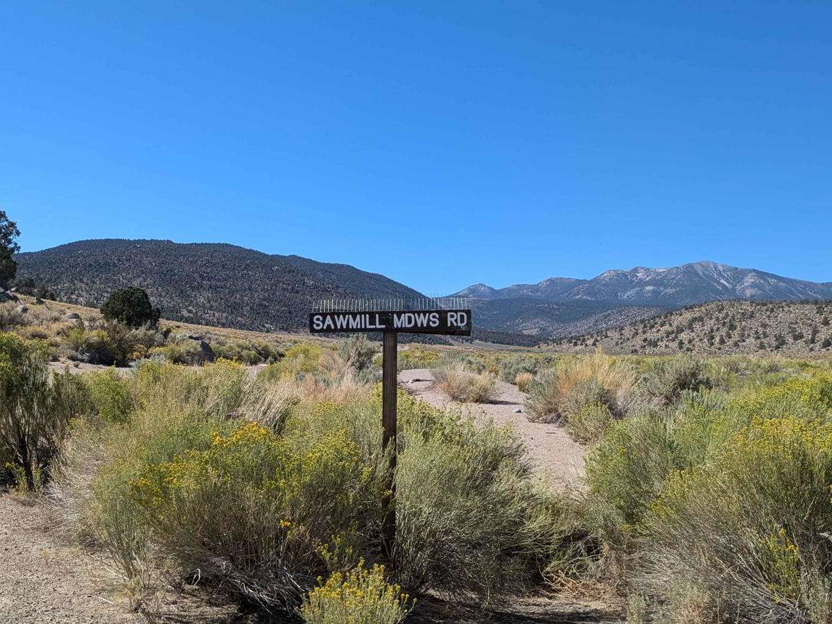 Sawmill Meadows Road trail photo