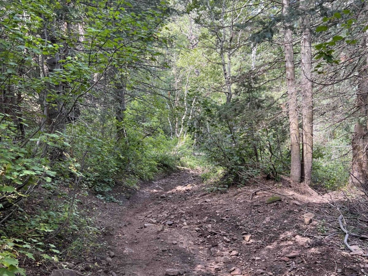 Left Fork Maple Canyon (8006) photo 5