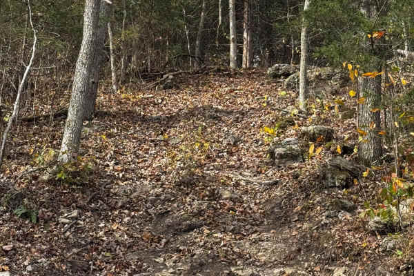 Tim's Hill