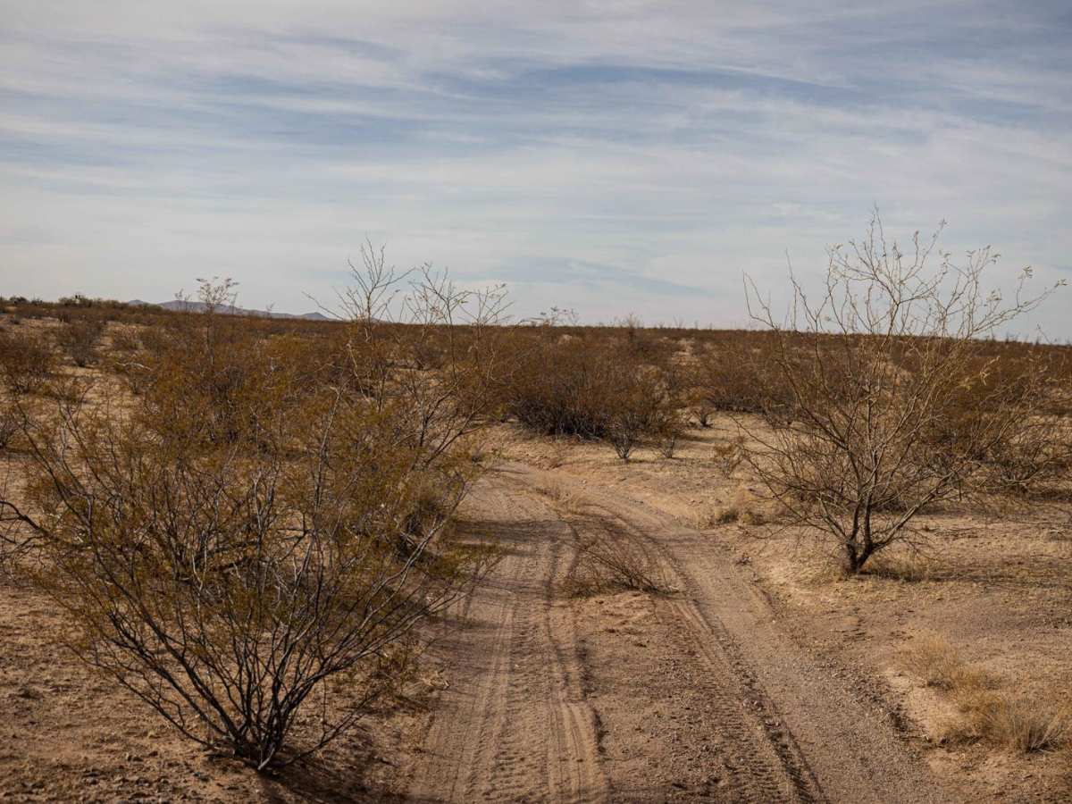 Oracho Ranch Road photo 5
