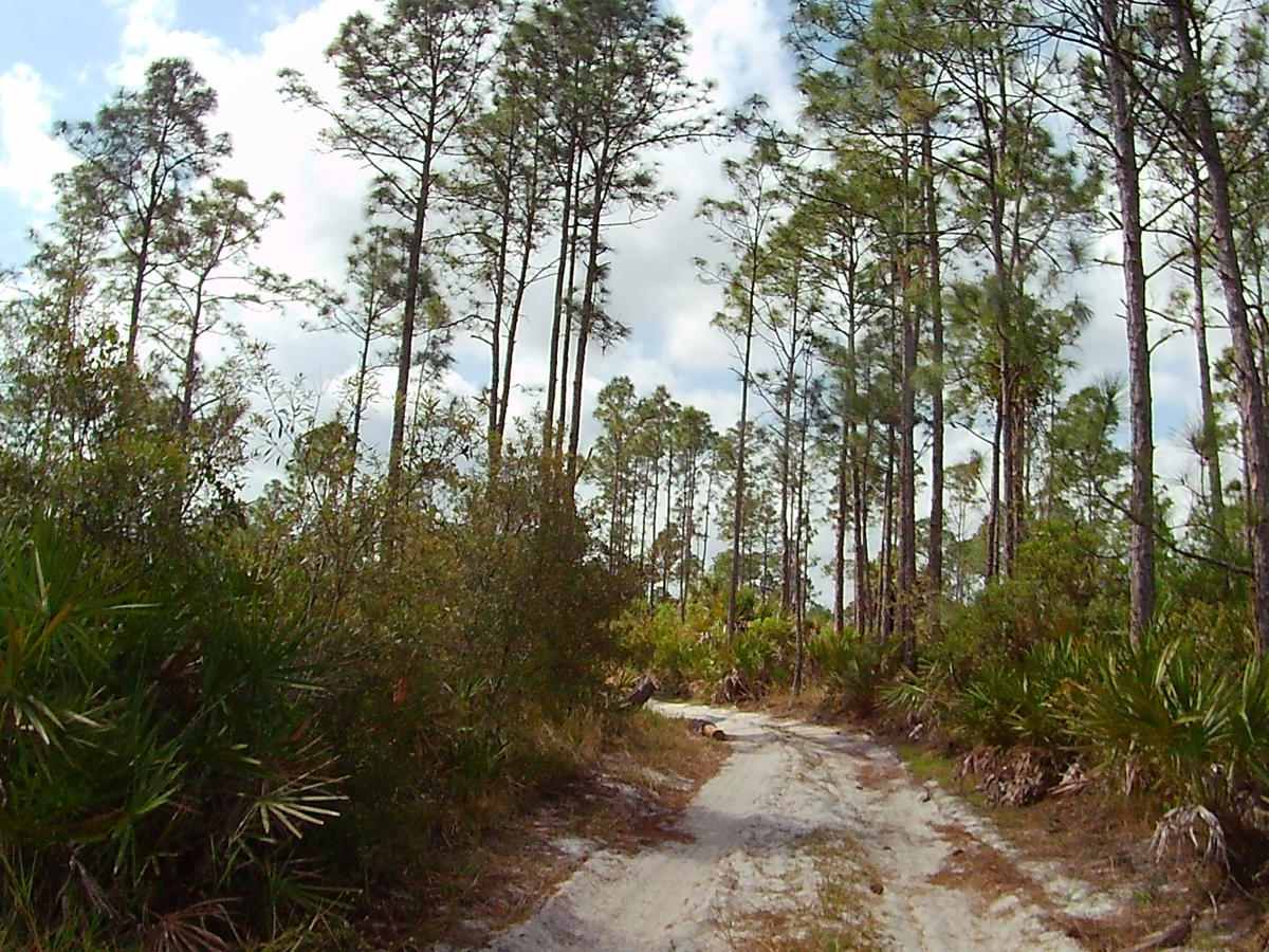 Mustang Loop photo 3