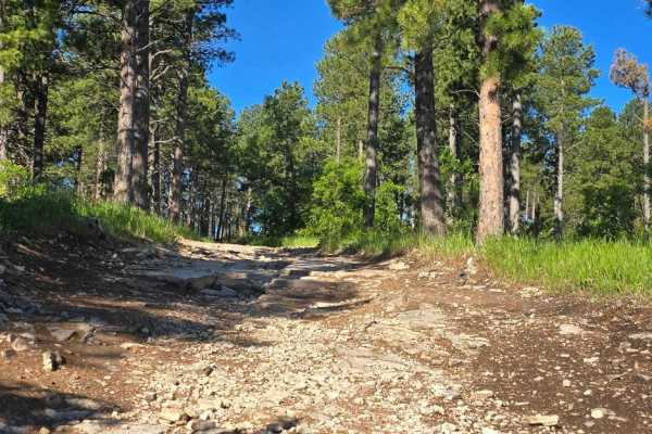 Black Hills Forest Access from Sturgis