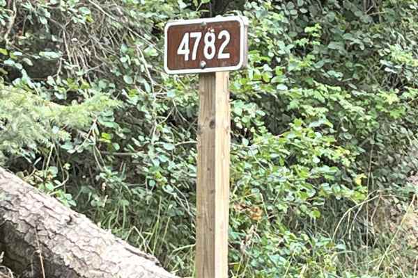 Road 4782