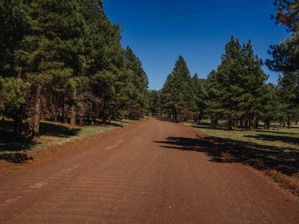 Beale Wagon Road Main photo 4