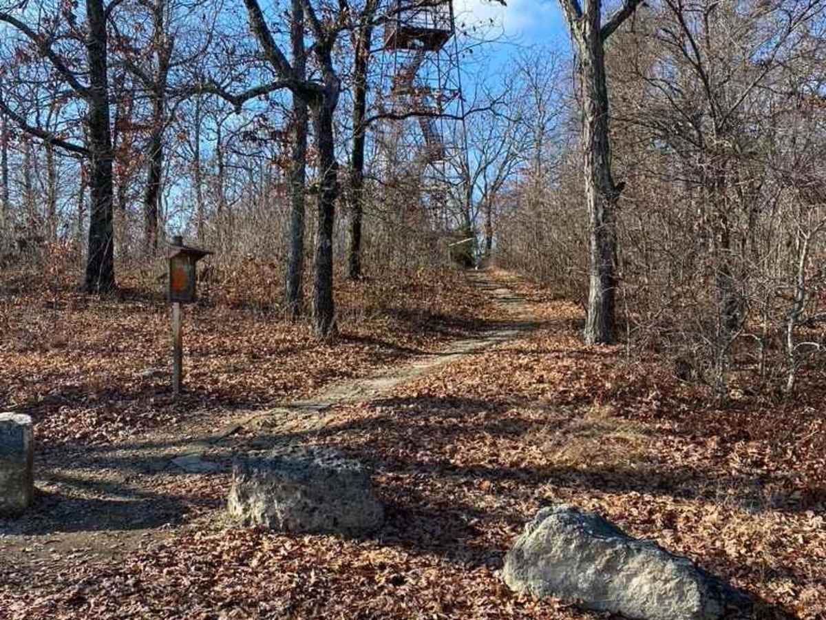 Knob Lick Tower Road trail photo