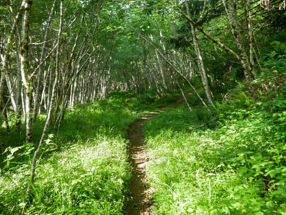 #41E ATV trail photo