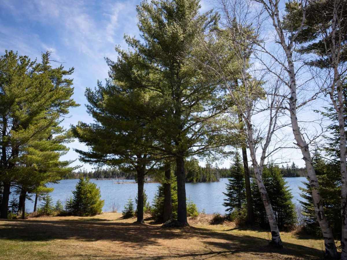 Island Lake Northeast Trail trail photo