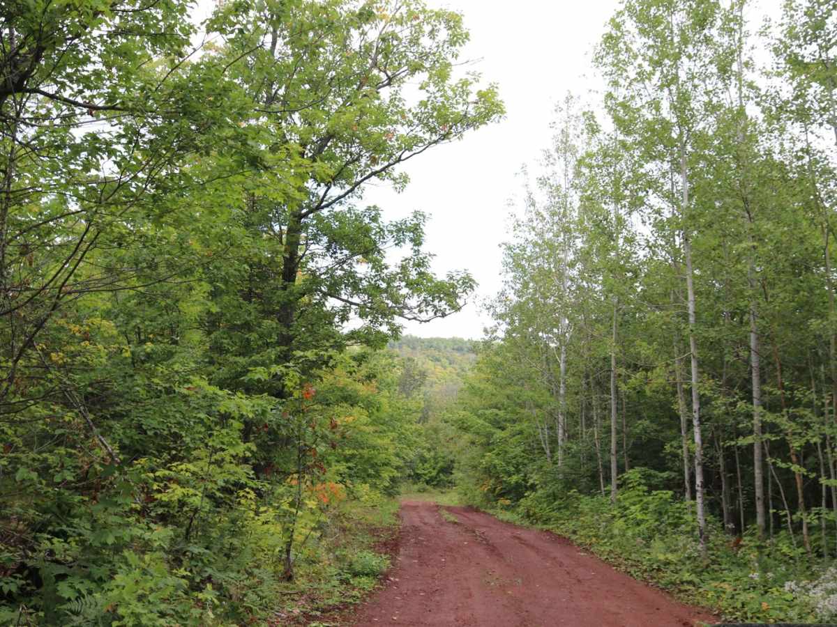 Union Creek photo 4