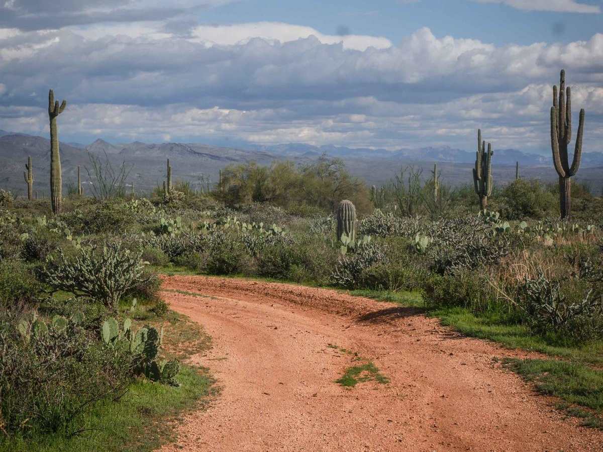 028 trail photo